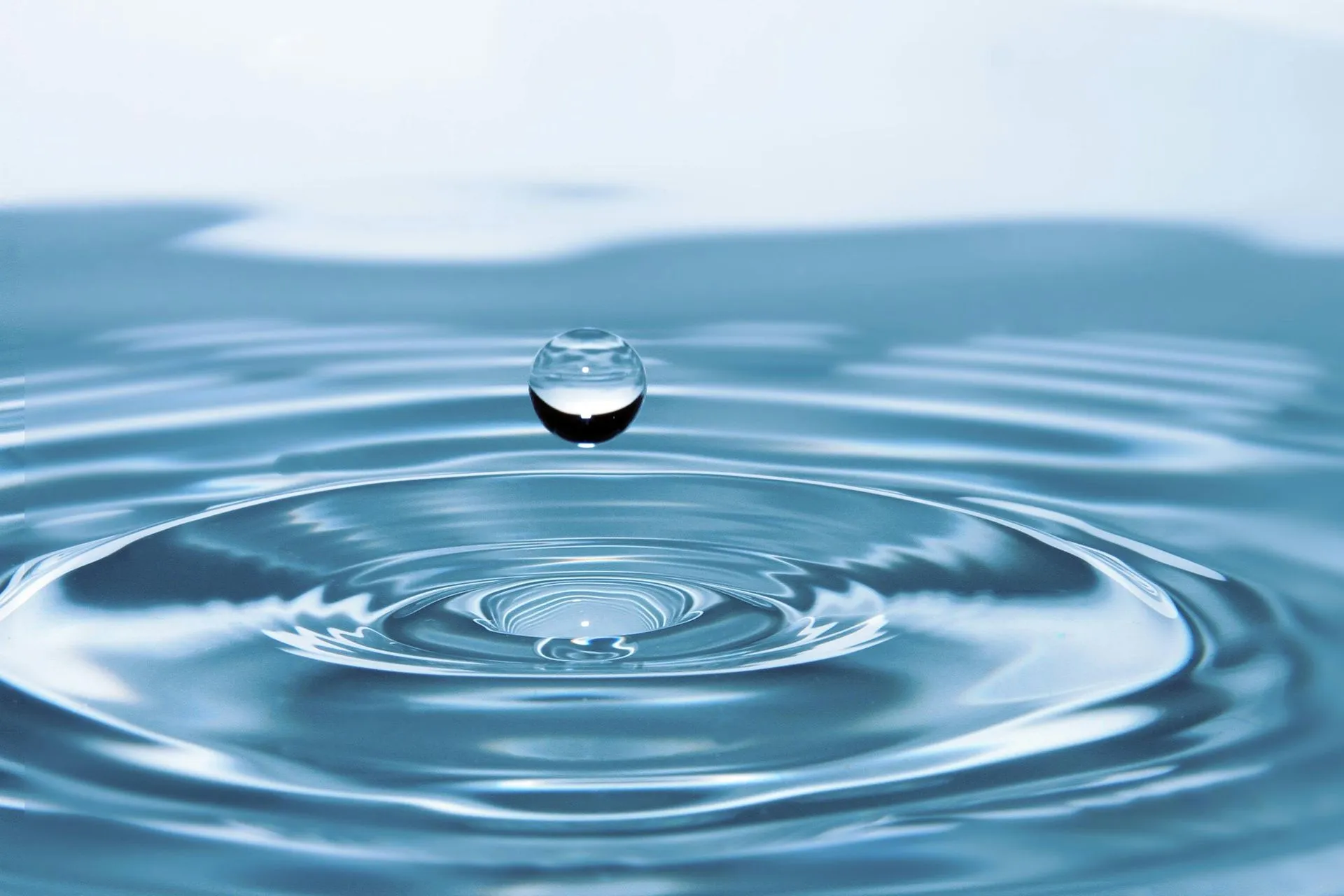 Droplets of water